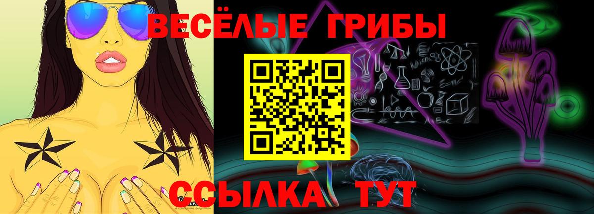 Галлюциногенные грибы мицелий  Псилоцибиновые грибы мухоморы  Вход с VPN  что такое   Сунжа 